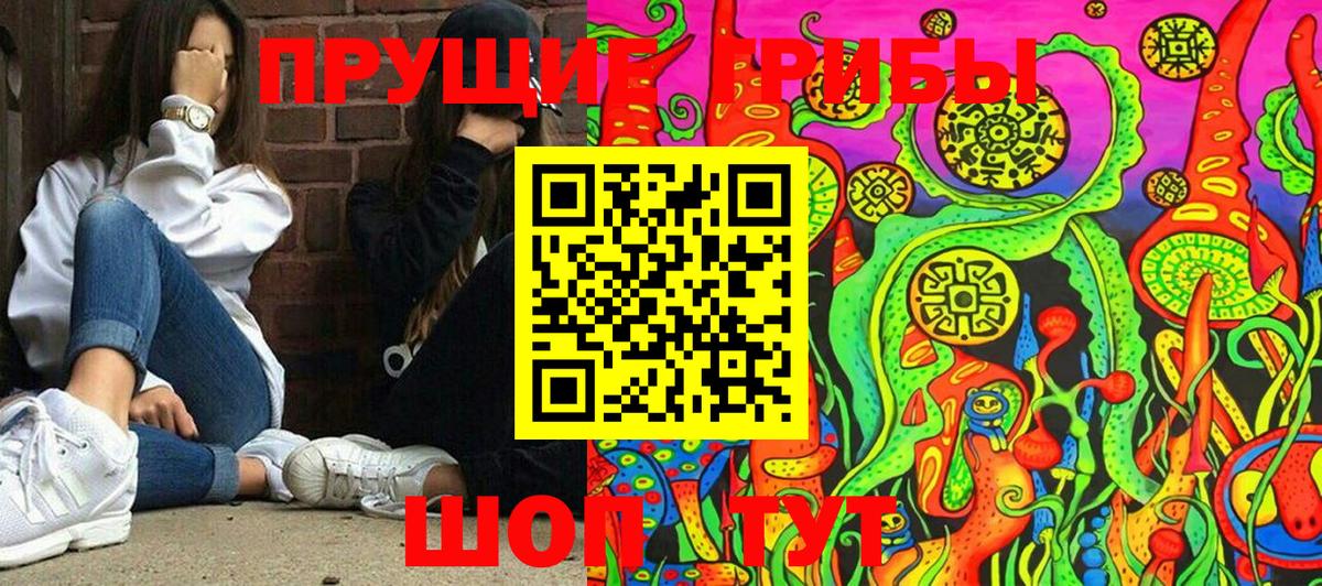 Кирово-Чепецк  Галлюциногенные грибы мухоморы  Вход с VPN 
